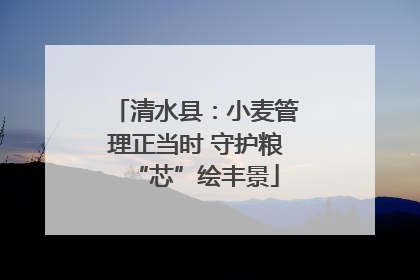 清水县：小麦管理正当时 守护粮“芯”绘丰景